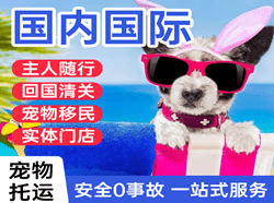 哈密伊州机场快递国际宠物托运 【国